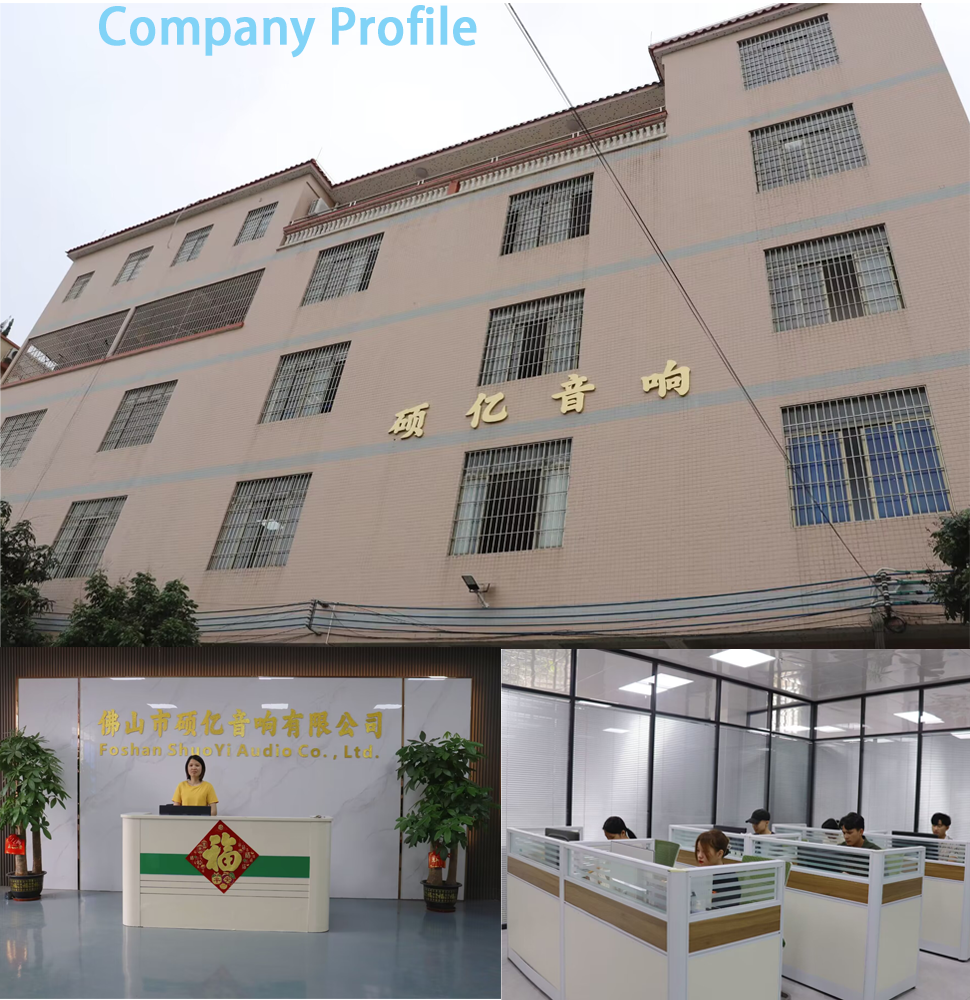 company profile sound system