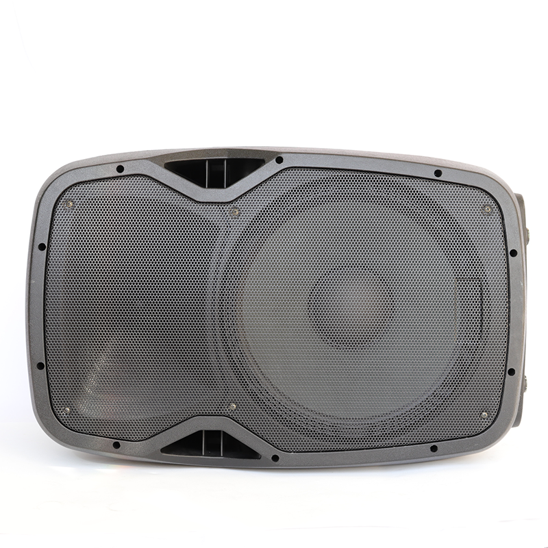 15 Inches  300W Active Sound Plastic Cabinet With Power Amplifier Circuit-Sound Factory
