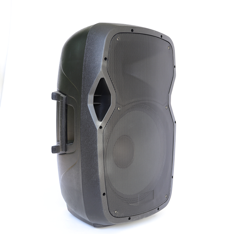 15 Inches  300W Active Sound Plastic Cabinet With Power Amplifier Circuit-Sound Factory