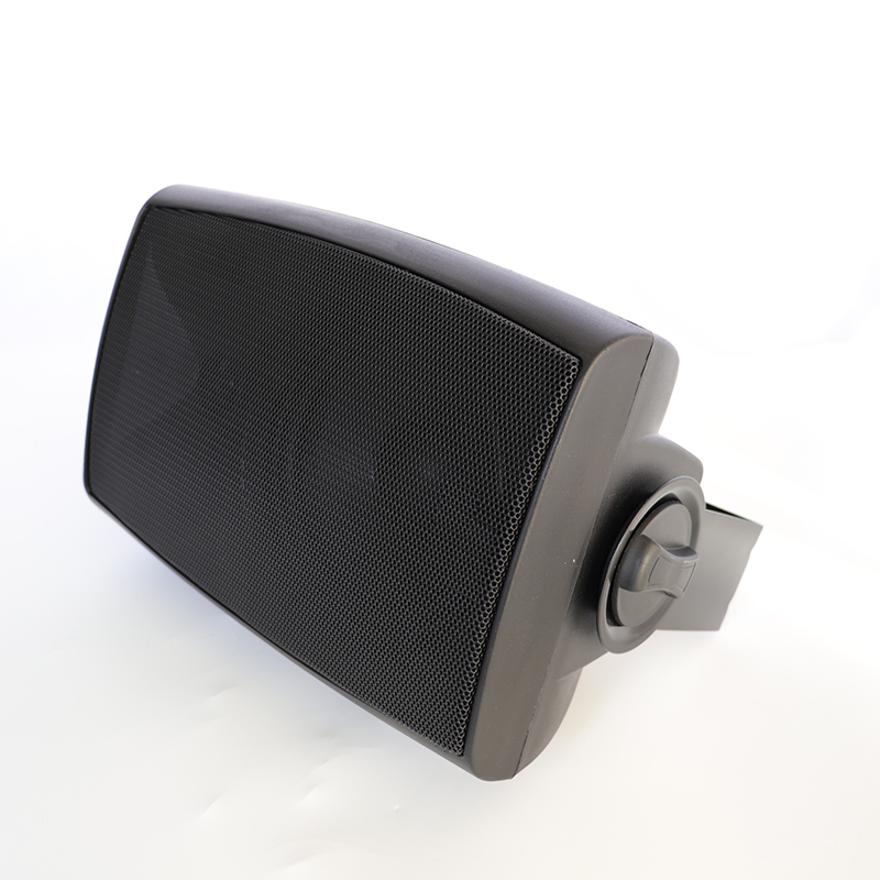 6 inches 30w Passive Sound, Bubble Edge Bass, Professional Wall Rack-Pro Speaker Factory