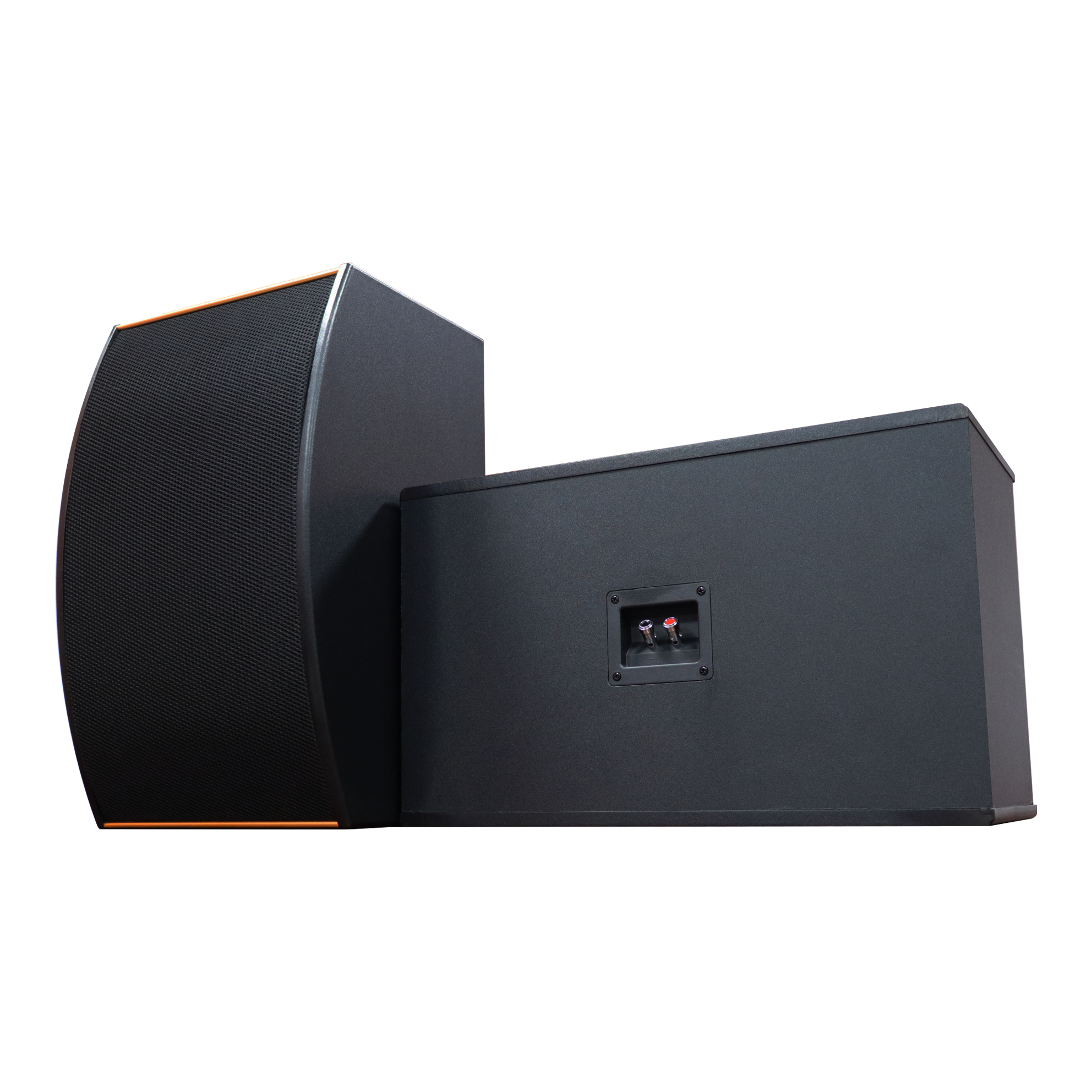 Analysis of Common Parameters and Terminology of Speakers.
